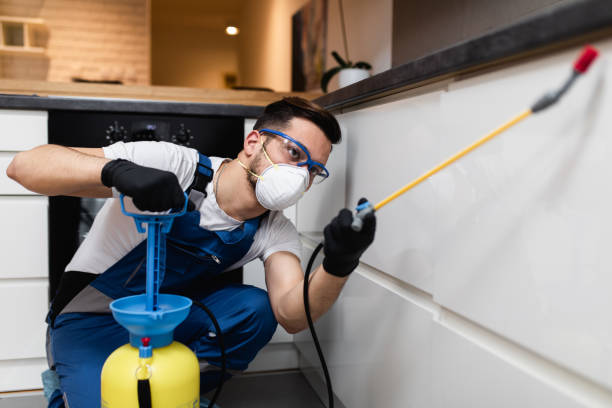 Best Pest Prevention Services  in Kingfisher, OK