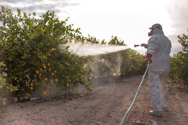  Kingfisher, OK Pest Control Pros