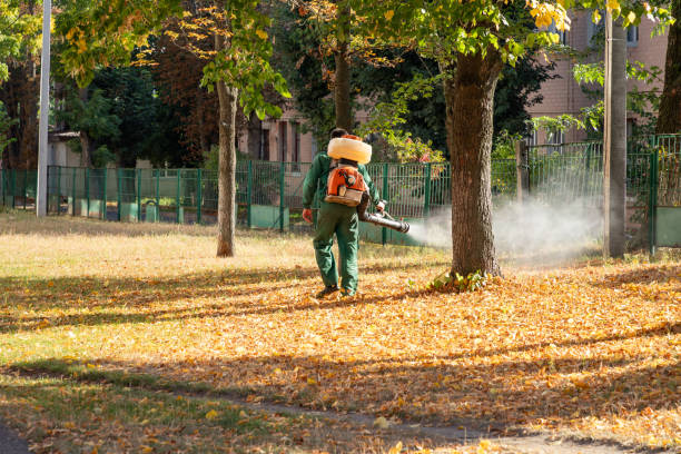 Best Best Pest Control Companies  in Kingfisher, OK